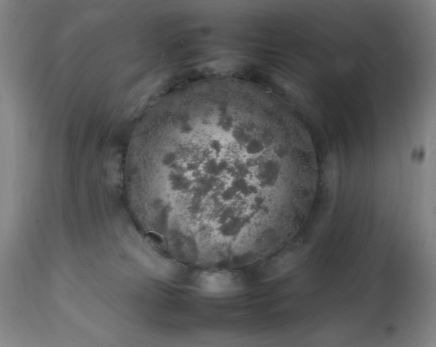 X0000113640181200910021925