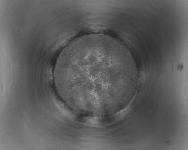 X0000113640182200910021925