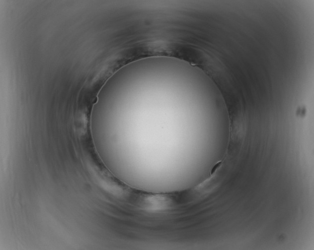 X0000113640183200910021925