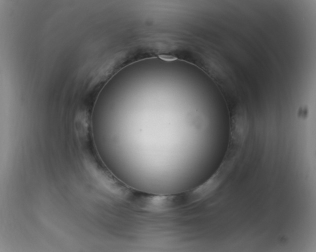 X0000113640184200910021925