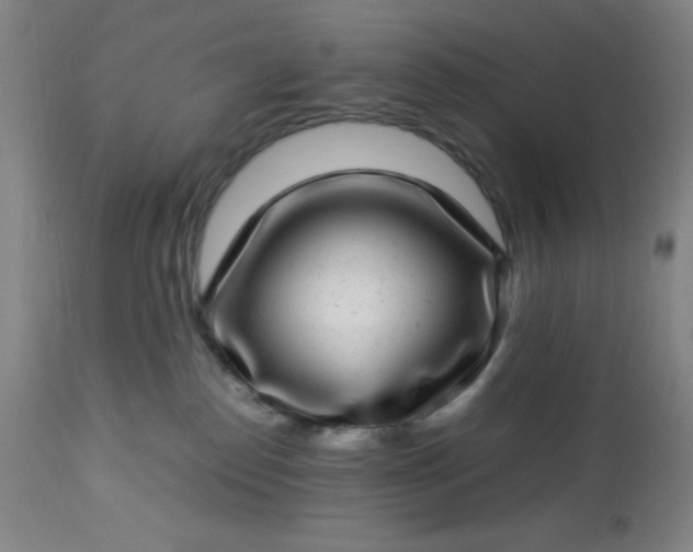 X0000113640186200910021925