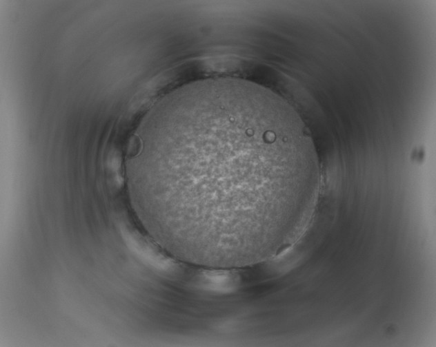 X0000113640187200910021925