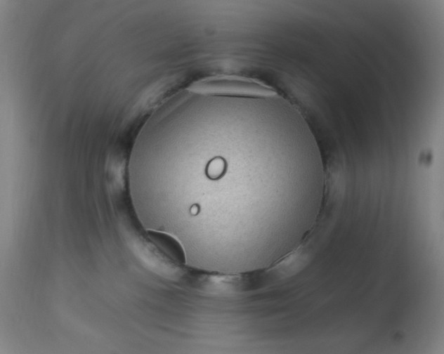 X0000113640188200910021925