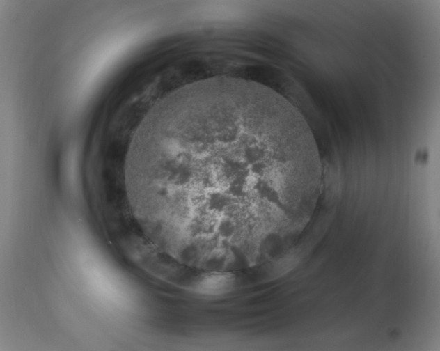 X0000113640189200910021925