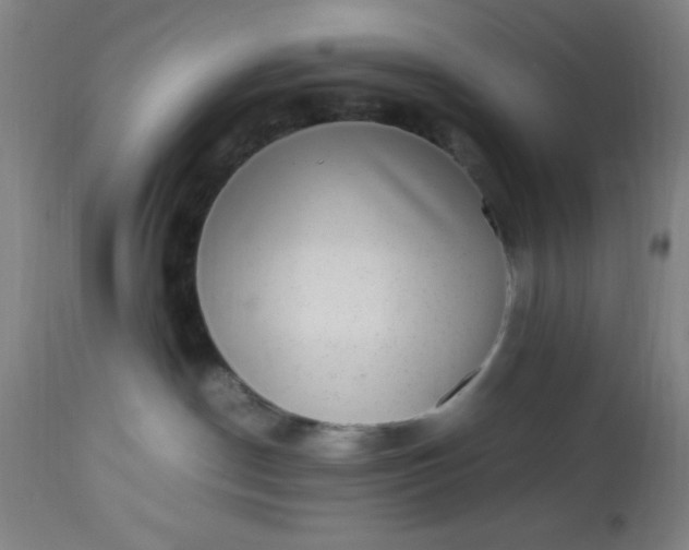 X0000113640190200910021925