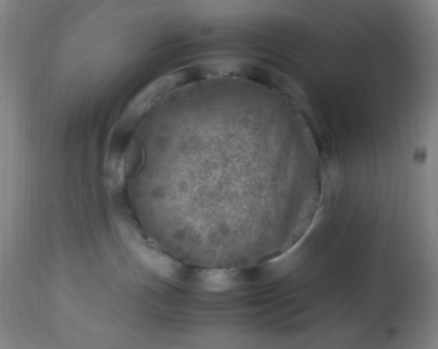 X0000113640191200910021926