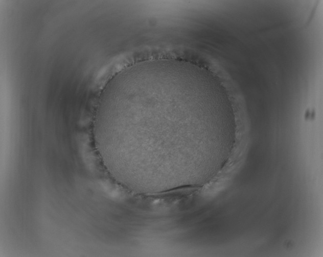 X0000113640192200910021926