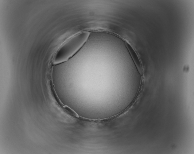 X0000113640193200910021925