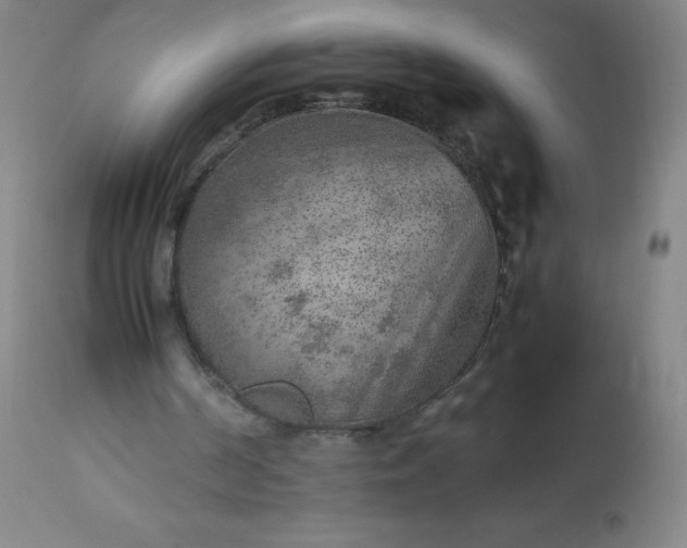 X0000113640194200910021925