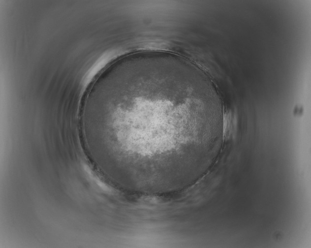 X0000113640195200910021925