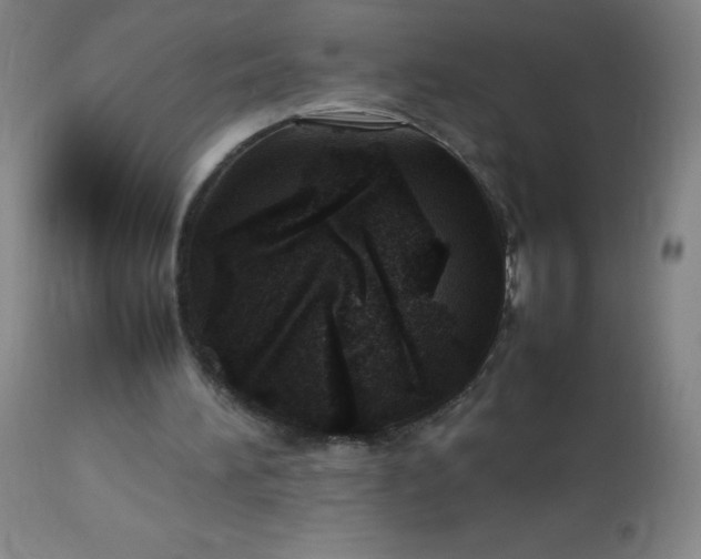 X0000113640196200910021925