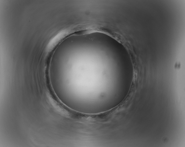 X0000113640197200910021925