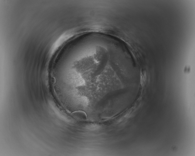 X0000113640198200910021925