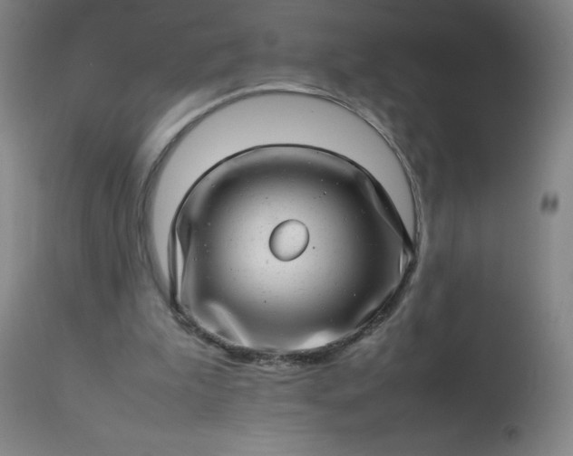 X0000113640199200910021925