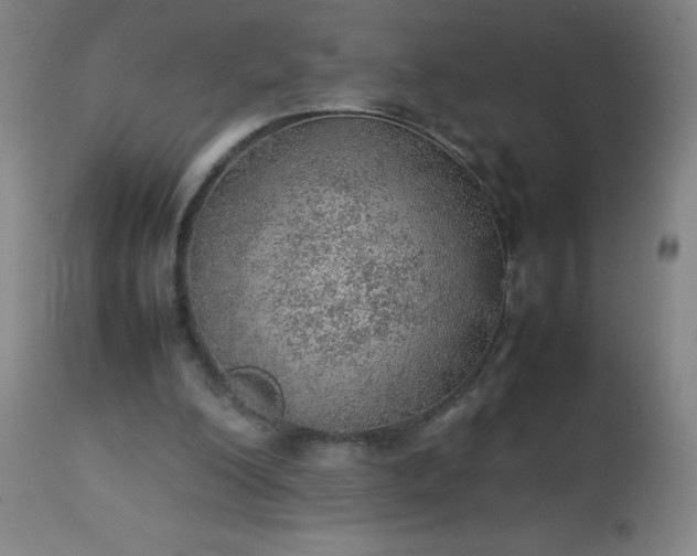 X0000113640200200910021925