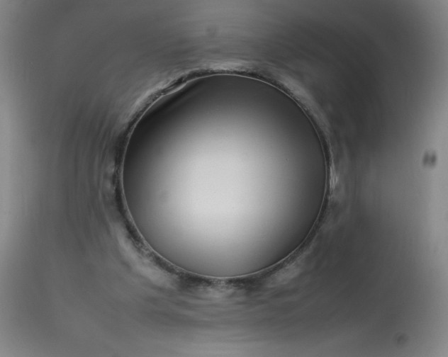 X0000113640201200910021925