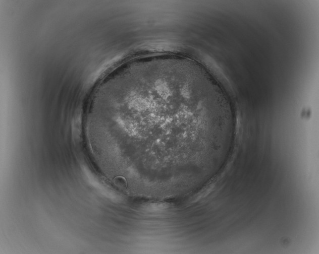 X0000113640202200910021925