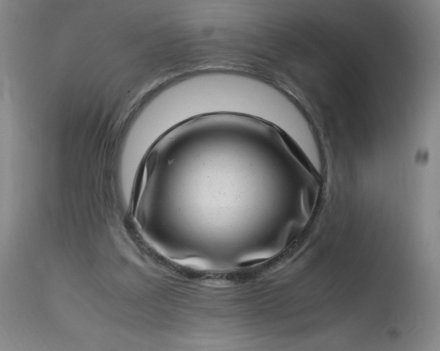 X0000113640203200910021925