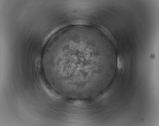 X0000113640204200910021925