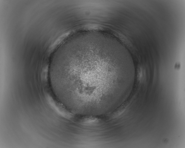 X0000113640206200910021925