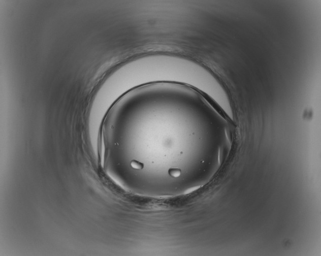 X0000113640207200910021924