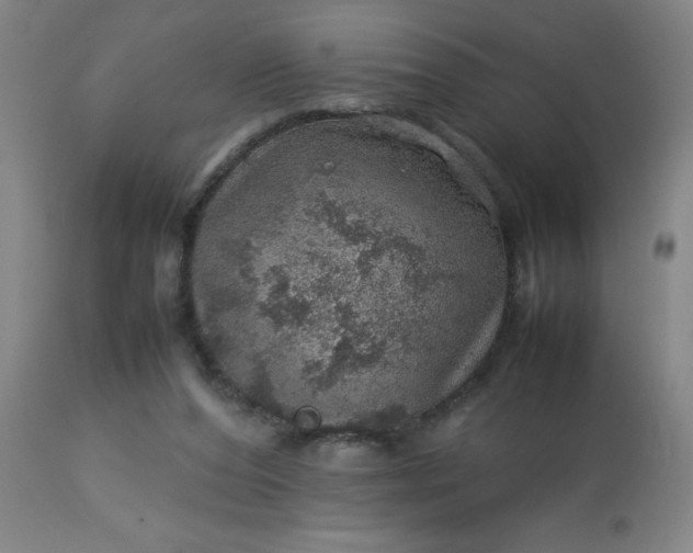 X0000113640208200910021924