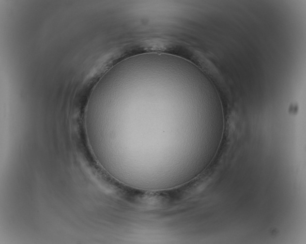 X0000113640209200910021924