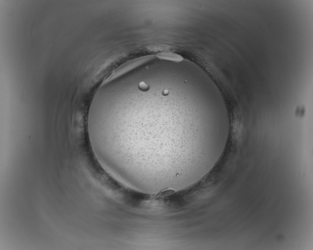 X0000113640211200910021924