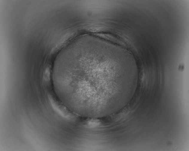 X0000113640214200910021924