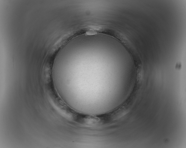 X0000113640215200910021924