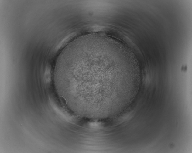 X0000113640216200910021924