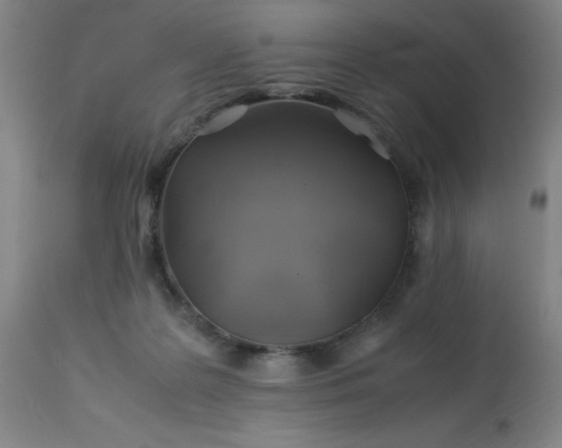 X0000113640219200910021924