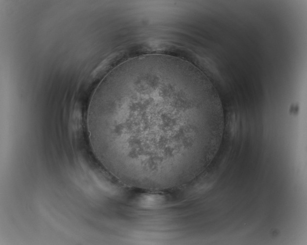 X0000113640220200910021924