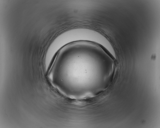 X0000113640221200910021924