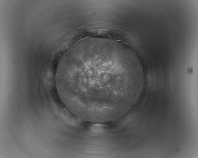 X0000113640222200910021924