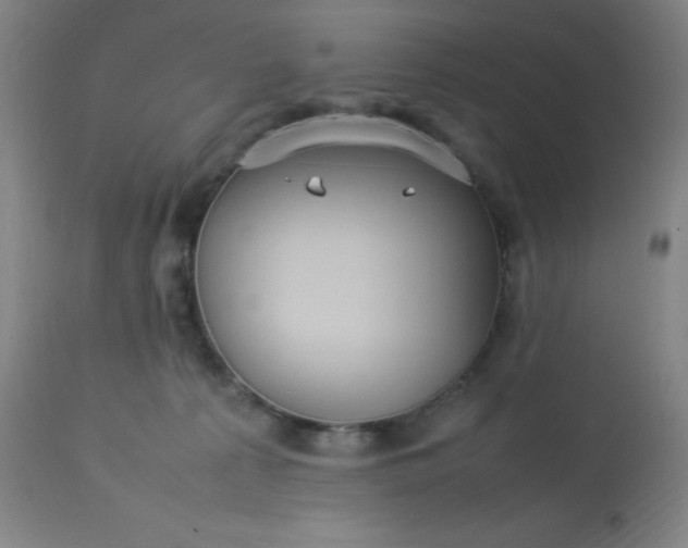 X0000113640225200910021924