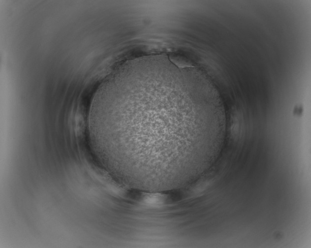 X0000113640226200910021924