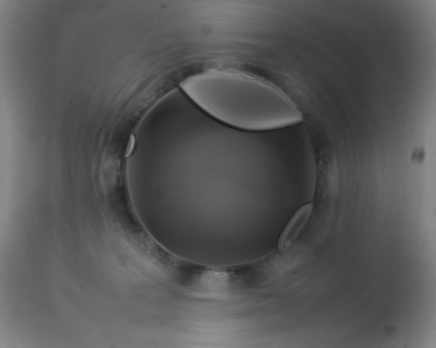 X0000113640227200910021924