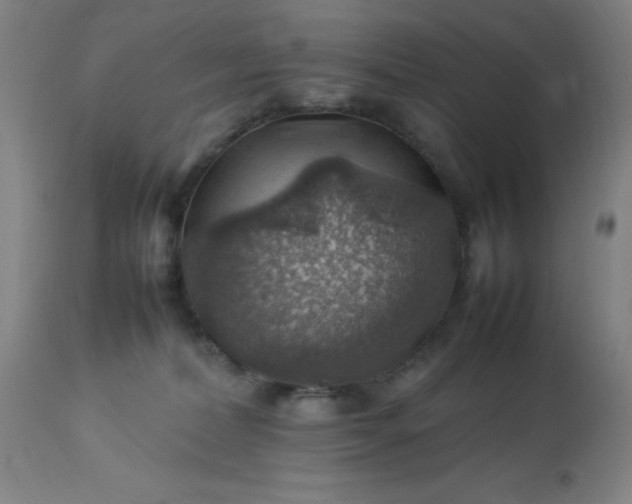 X0000113640228200910021924