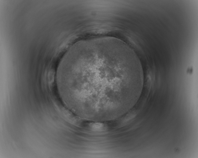 X0000113640230200910021924