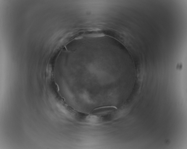 X0000113640231200910021924