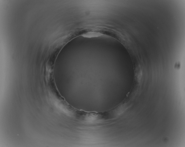 X0000113640235200910021924