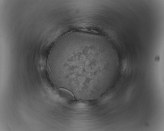 X0000113640236200910021924