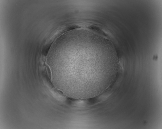 X0000113640237200910021924