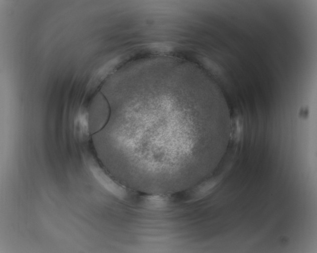 X0000113640238200910021924