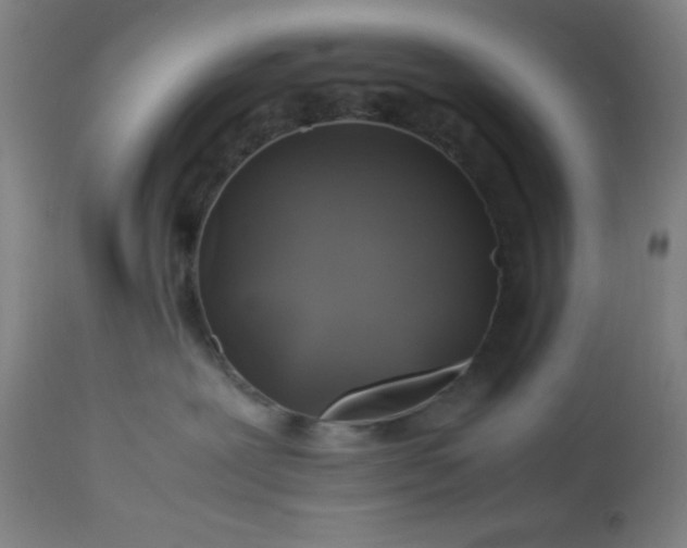 X0000113640239200910021924