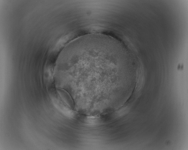 X0000113640240200910021924