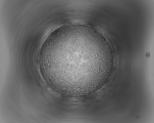 X0000113640241200910021923