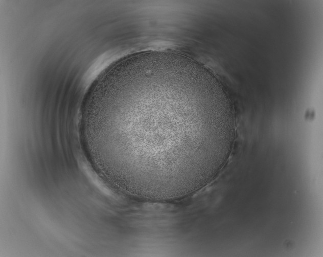 X0000113640242200910021923