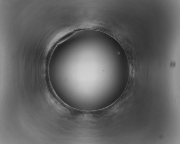 X0000113640244200910021923